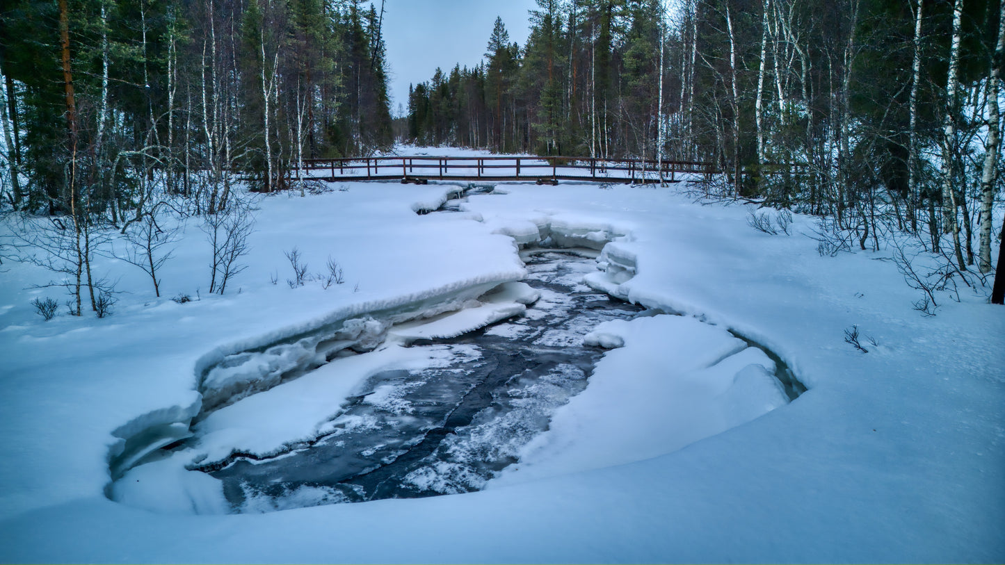 Ruisseau gelé sous un pont boisé en hiver