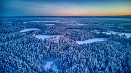 L’Infini Bleu du Silence
