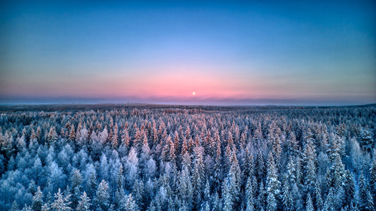 Lune rose sur la forêt enneigée